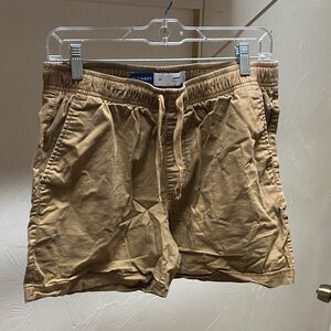 Old Navy Men's Brown Flat Front Shorts
